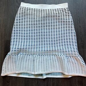 Parker high waisted skirt